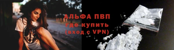 сатива Няндома