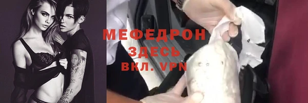 сатива Няндома