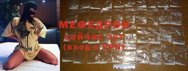 сатива Няндома