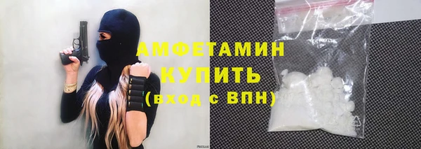 сатива Няндома