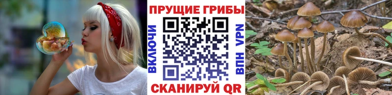 Псилоцибиновые грибы мухоморы  цены   Иннополис 